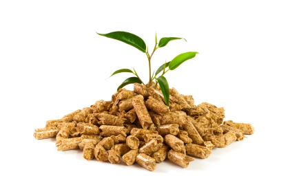 biomass-wood-pellets.jpg