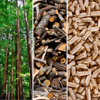 chaufferie biomasse, transition énergétique, EnR, énergies renouvelables, chauffage au bois, permis de construire