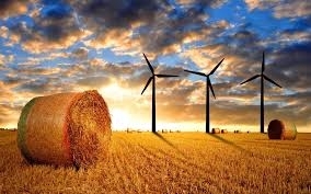 Parcs éoliens : bien mener la régularisation d’une autorisation environnementale (arrêt CAA Douai, 3 novembre 2020)