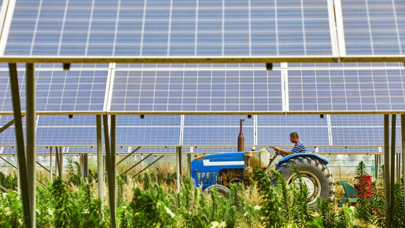 Parc agrivoltaïque : le tribunal administratif de Dijon permet la régularisation du projet